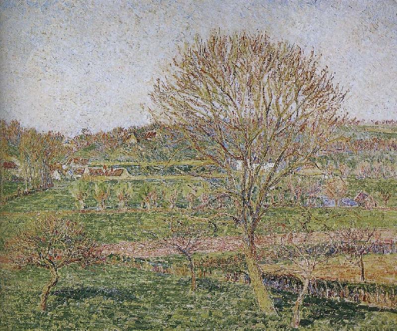 Camille Pissarro Peach oil painting picture